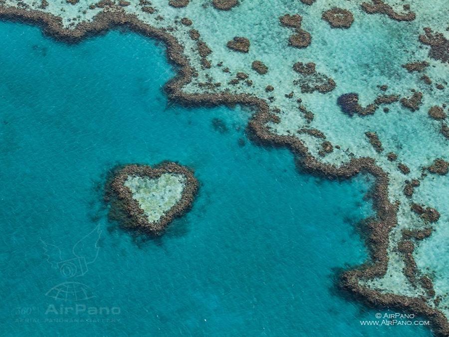 Great Barrier Reef (AP) Special Information Australia Australia